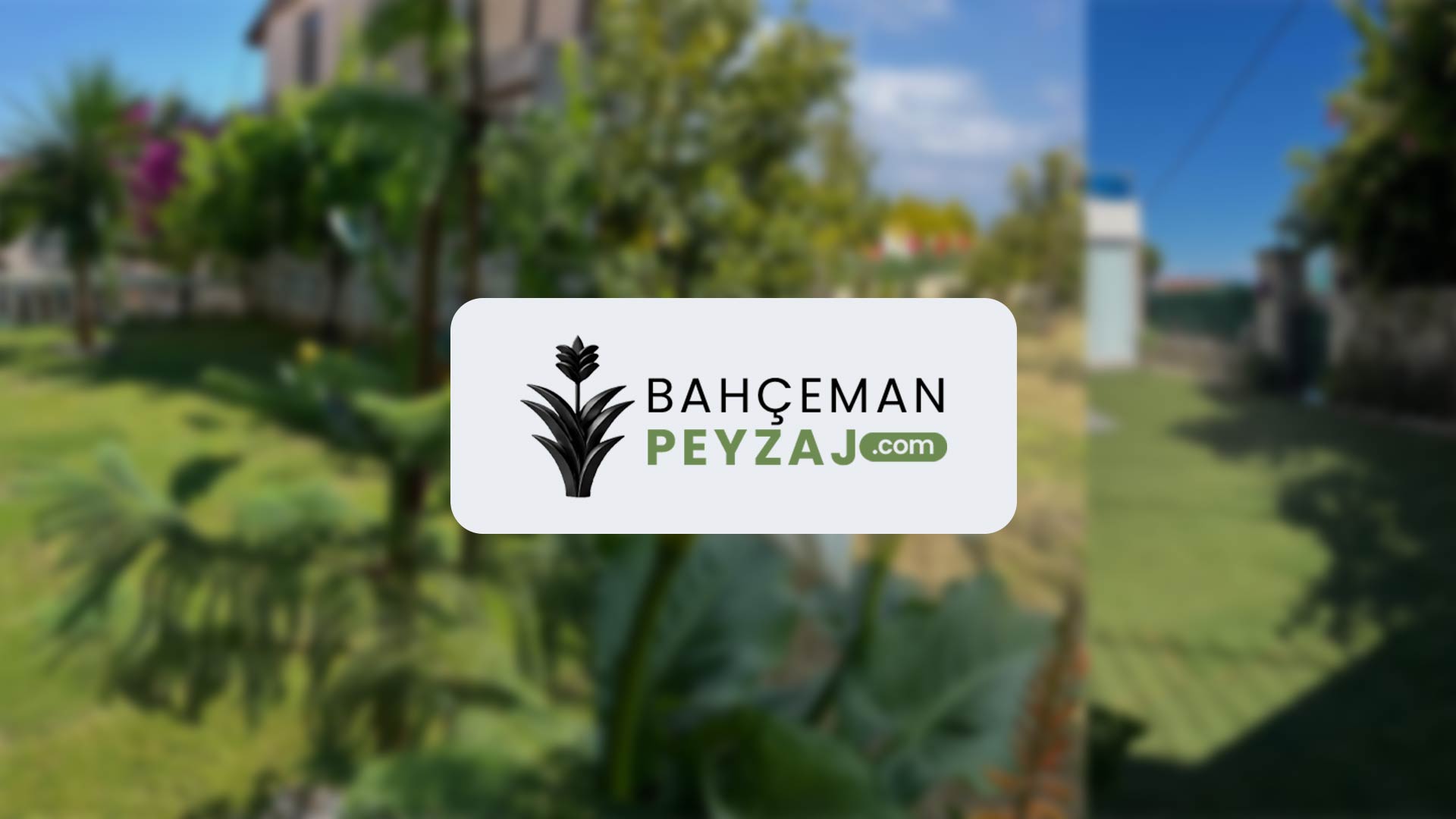 Bahçe İlaçlama